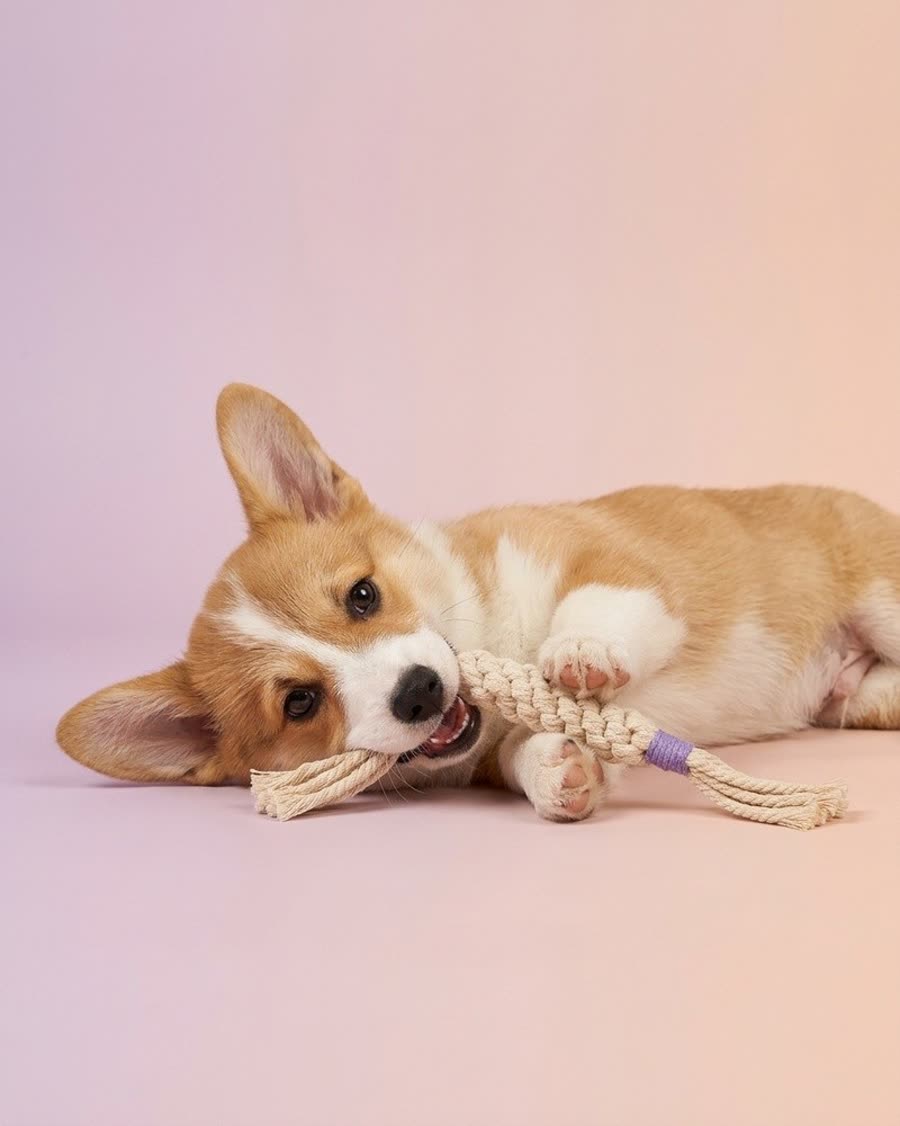 A macrame toy staged for a product page.